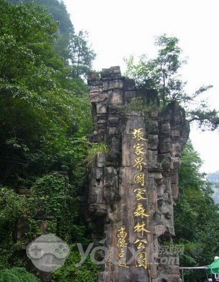 圣诞节到了,我想给老师贺卡,怎么写祝福语啊?